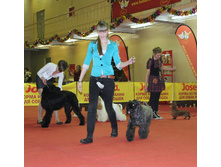 1-IMG_7882.JPG