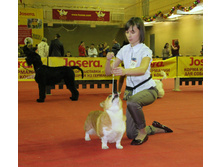 1-IMG_7885.JPG