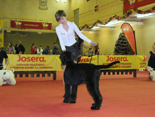 1-IMG_7886.JPG