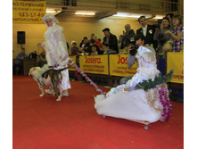 1-IMG_7920.JPG