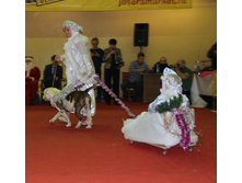 1-IMG_7922.JPG