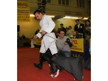 1-IMG_7930.JPG