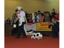 1-IMG_7946.JPG