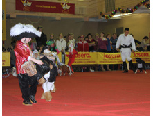 1-IMG_7947.JPG