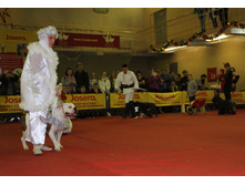 1-IMG_7948.JPG