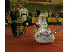 1-IMG_7949.JPG