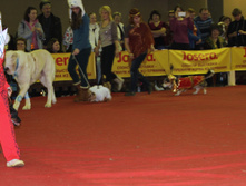 1-IMG_7951.JPG