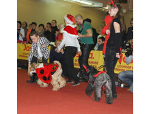 1-IMG_7954.JPG