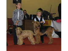 1-IMG_7965.JPG