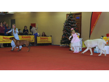 1-IMG_7966.JPG