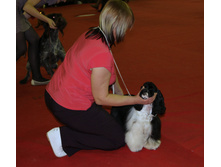 1-IMG_7968.JPG