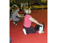1-IMG_7969.JPG