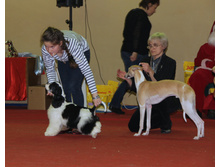 1-IMG_7987.JPG