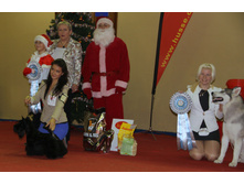 1-IMG_7999.JPG