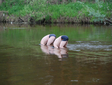 17.05.2010 11:58:47