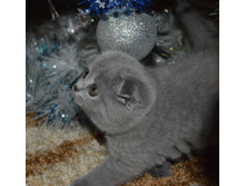 DSC_0017.JPG
