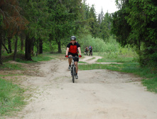 17.05.2010 12:03:38