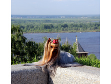 1-IMG_0986.JPG