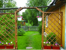 DSCF7156.jpg