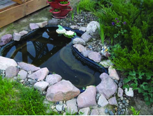 DSCF7173.jpg