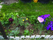 DSCF7196.jpg