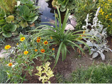 DSCF7221.jpg