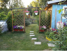 DSCF7231.jpg