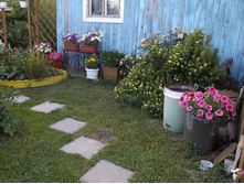 DSCF7232.jpg