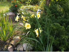 DSCF7270.jpg