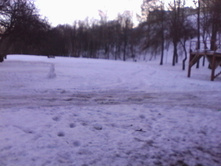 IMG_20000502_083652.jpg