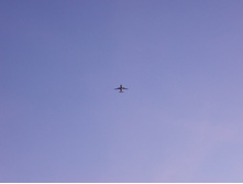 DSCN4468.JPG