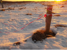 DSCN4498.JPG