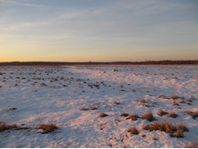 DSCN4499.JPG