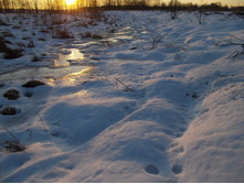 DSCN4507.JPG