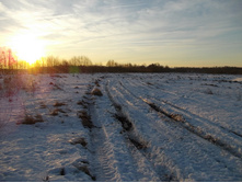 DSCN4509.JPG