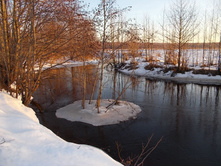 DSCN4517.JPG