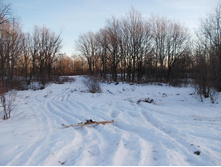DSCN4528.JPG