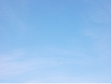 DSCN4531.JPG