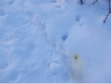 DSCN4535.JPG