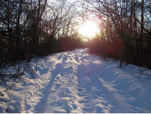 DSCN4536.JPG