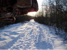DSCN4537.JPG