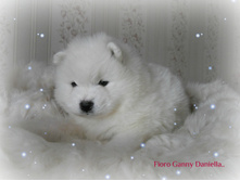 DSCN11931.jpg