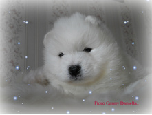 dscn11991.jpg