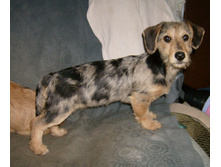 HPIM0349.jpg