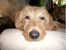 HPIM0758.jpg