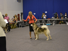 DSC_0905.JPG