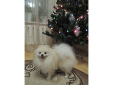 DSCN2148.JPG