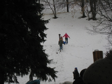 IMG_4181.JPG