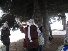 IMG_4182.JPG