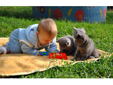 DSC_8374.jpg